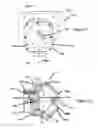 Fig. 10 - Optical assembly with removable section