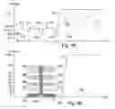 Fig. 04 - Enhanced classification for power over ethernet
