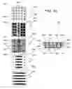 Fig. 12 - Multilayer vertically integrated array technology
