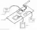 Fig. 01 - MINIATURIZED FORM FACTOR WIRELESS COMMUNICATIONS CARD FOR GENERIC MOBILE INFORMATION DEVICES