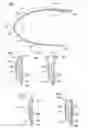 Fig. 03 - ILLLUMINATED COLLAR