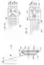 Fig. 04 - ILLLUMINATED COLLAR