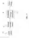 Fig. 04 - Lamp string device