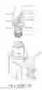 Fig. 05 - Light emitting diode lamp