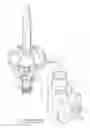 Fig. 06 - Light emitting diode lamp
