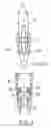 Fig. 05 - Lamp holder device with function element