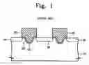 Fig. 02 - Cell array of semiconductor memory device and a method of forming the same