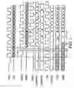 Fig. 04 - Memory controller and memory system
