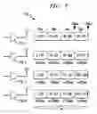 Fig. 08 - Method and apparatus for improved short preamble formats in a multiple antenna communication system