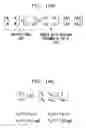 Fig. 12 - Method and apparatus for improved short preamble formats in a multiple antenna communication system