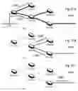 Fig. 28 - Next generation network for providing diverse data types