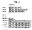 Fig. 05 - RADIO FREQUENCY SIGNAL PROCESSING DEVICE AND MOBILE COMMUNICATION TERMINAL EQUIPPED WITH THE DEVICE
