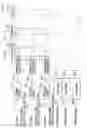 Fig. 08 - FDD/CDMA transmission/reception system