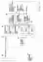 Fig. 11 - FDD/CDMA transmission/reception system