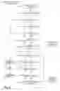 Fig. 06 - Interoperable mobile ad hoc network