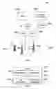 Fig. 05 - System and method for pilot signal utilization in an environment using dynamic frequency assignment