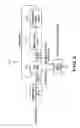 Fig. 06 - Viterbi decoding apparatus