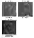 Fig. 06 - Tally image generating method and device, tally image generating program, and confidential image decoding method