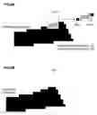 Fig. 09 - Watermarked information embedding apparatus