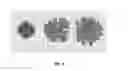 Fig. 05 - Method for encoding and serving geospatial or other vector data as images