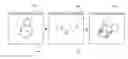 Fig. 01 - Apparatus and method for presenting information on transparent resealable storage bags
