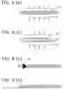 Fig. 07 - Polarization insensitive microbend fiber gratings and devices using the same
