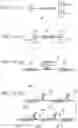 Fig. 09 - Polarization insensitive microbend fiber gratings and devices using the same