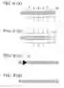 Fig. 07 - Polarization insensitive microbend fiber gratings and devices using the same