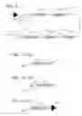 Fig. 08 - Polarization insensitive microbend fiber gratings and devices using the same