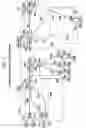 Fig. 04 - Distributed terminal optical transmission system