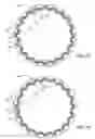 Fig. 06 - Spline interconnect