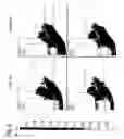 Fig. 05 - Self-piercing rivet