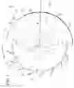 Fig. 02 - Flat eccentric rotor equipped with a fan and flat vibration motor equipped with a fan comprising same rotor