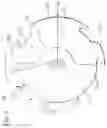 Fig. 04 - Flat eccentric rotor equipped with a fan and flat vibration motor equipped with a fan comprising same rotor