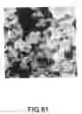 Fig. 44 - Coated silver-containing particles, method and apparatus of manufacture, and silver-containing devices made therefrom