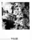 Fig. 45 - Coated silver-containing particles, method and apparatus of manufacture, and silver-containing devices made therefrom