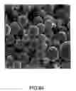 Fig. 47 - Coated silver-containing particles, method and apparatus of manufacture, and silver-containing devices made therefrom