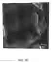 Fig. 49 - Coated silver-containing particles, method and apparatus of manufacture, and silver-containing devices made therefrom
