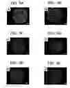 Fig. 09 - Detecting interactions at biomimetic interfaces with liquid crystals