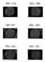 Fig. 13 - Detecting interactions at biomimetic interfaces with liquid crystals
