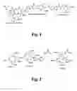 Fig. 02 - Chelate based scaffolds in tumor targeting