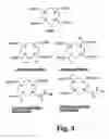 Fig. 03 - Chelate based scaffolds in tumor targeting