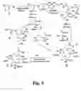 Fig. 04 - Chelate based scaffolds in tumor targeting