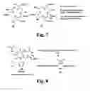 Fig. 06 - Chelate based scaffolds in tumor targeting