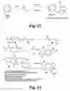 Fig. 10 - Chelate based scaffolds in tumor targeting