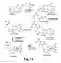 Fig. 12 - Chelate based scaffolds in tumor targeting