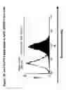 Fig. 03 - Ovr115 antibody compositions and methods of use