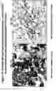 Fig. 12 - Ovr115 antibody compositions and methods of use
