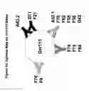 Fig. 14 - Ovr115 antibody compositions and methods of use
