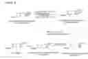 Fig. 05 - Compositions, methods of preparing amino acids, and nuclear magnetic resonance spectroscopy